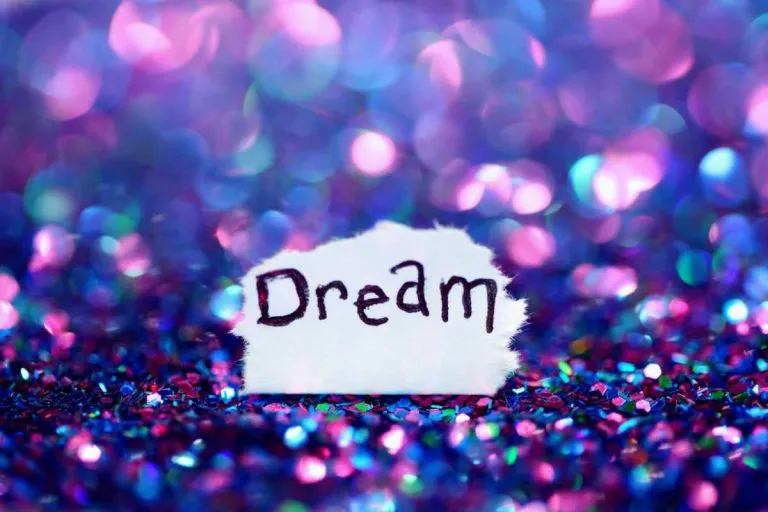 be brave enough to chase your dream